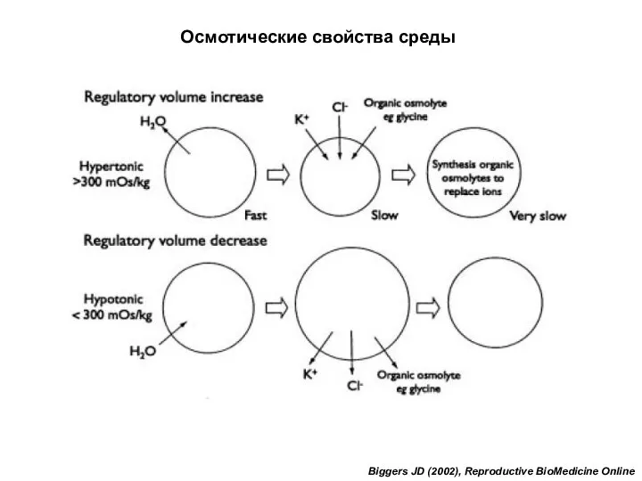 Biggers JD (2002), Reproductive BioMedicine Online Осмотические свойства среды