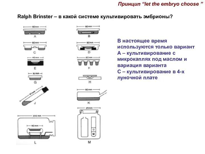 Ralph Brinster – в какой системе культивировать эмбрионы? В настоящее время