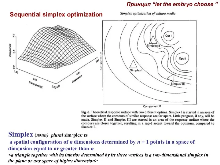 Sequential simplex optimization Принцип “let the embryo choose ” Simplex (noun)