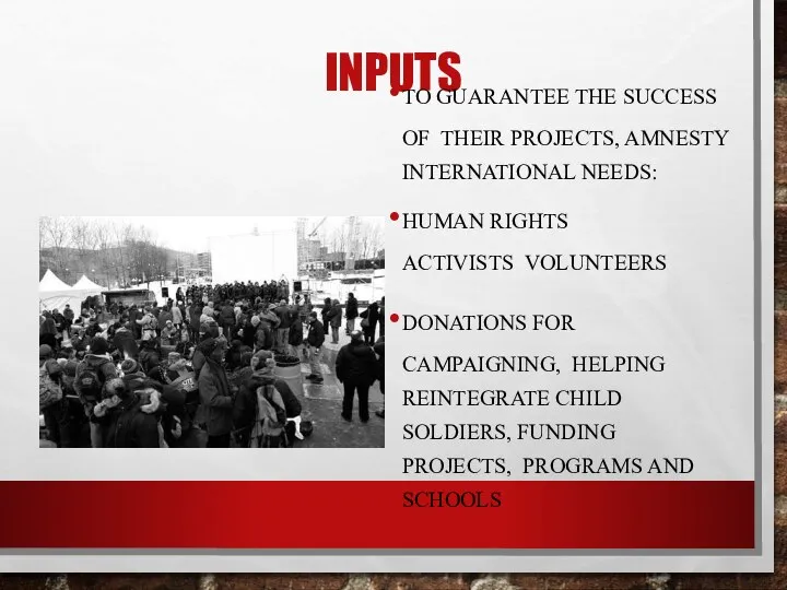 INPUTS TO GUARANTEE THE SUCCESS OF THEIR PROJECTS, AMNESTY INTERNATIONAL NEEDS: