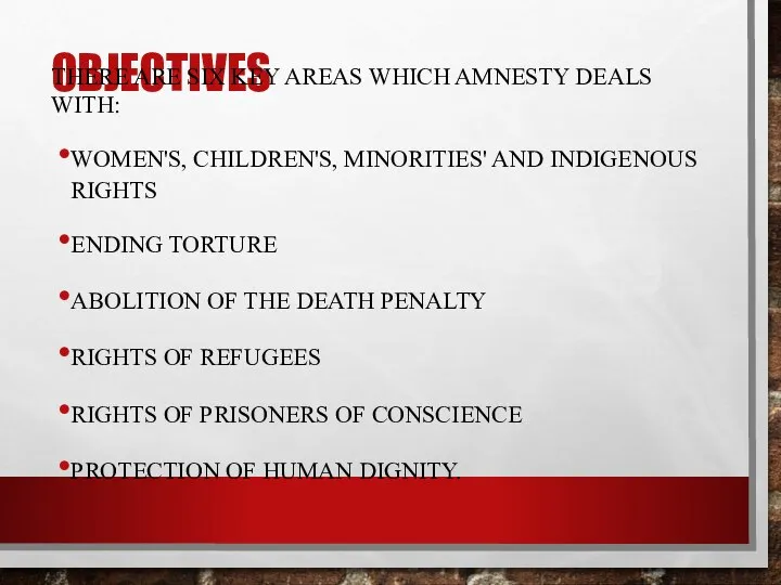 OBJECTIVES THERE ARE SIX KEY AREAS WHICH AMNESTY DEALS WITH: WOMEN'S,