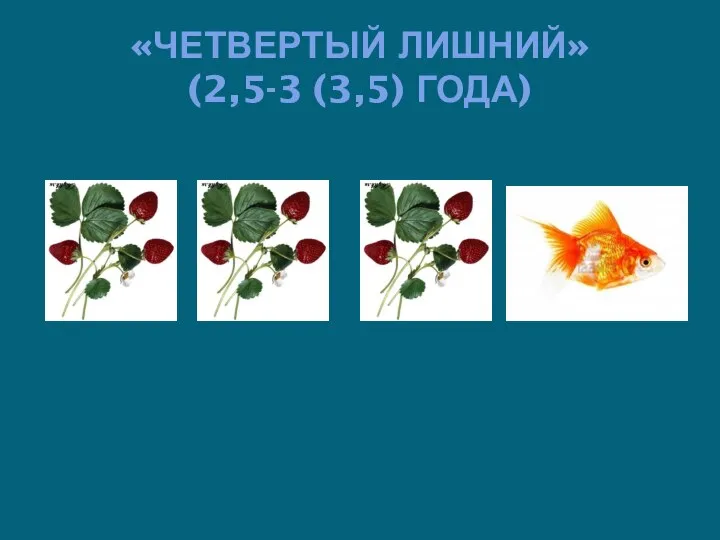 «ЧЕТВЕРТЫЙ ЛИШНИЙ» (2,5-3 (3,5) ГОДА)