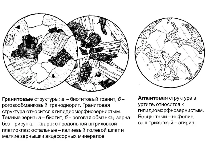 Гранитовые структуры: а – биотитовый гранит, б – роговообманковый гранодиорит. Гранитовая