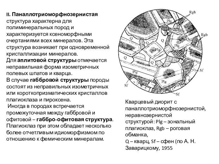 II. Паналлотриоморфнозернистая структура характерна для полиминеральных пород и характеризуется ксеноморфными очертаниями