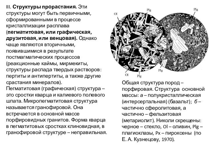 III. Структуры прорастания. Эти структуры могут быть первичными, сформированными в процессе