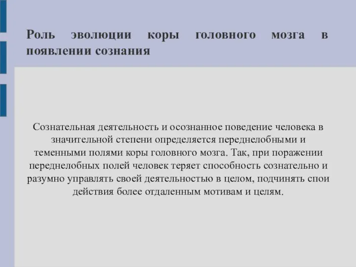 Роль эволюции коры головного мозга в появлении сознания Сознательная деятельность и