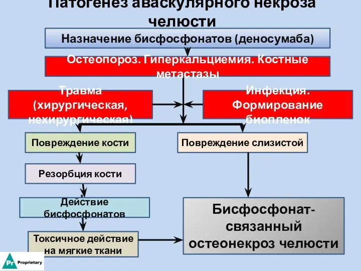 Патогенез аваскулярного некроза челюсти Назначение бисфосфонатов (деносумаба) Остеопороз. Гиперкальциемия. Костные метастазы