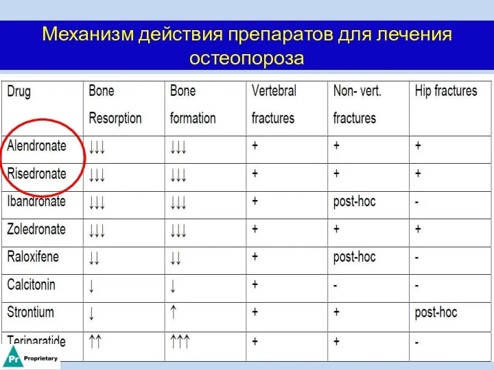 Механизм действия препаратов для лечения остеопороза