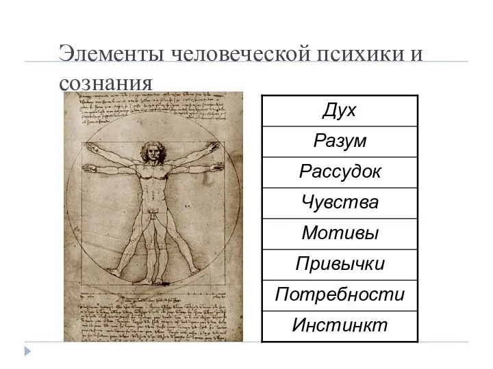 Элементы человеческой психики и сознания