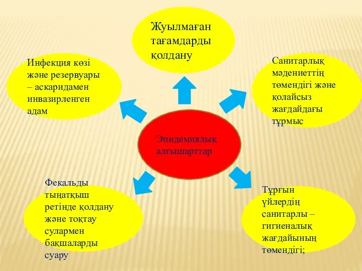 Эпидемиялық алғышарттар Тұрғын үйлердің санитарлы – гигиеналық жағдайының төмендігі; Фекальды тыңатқыш