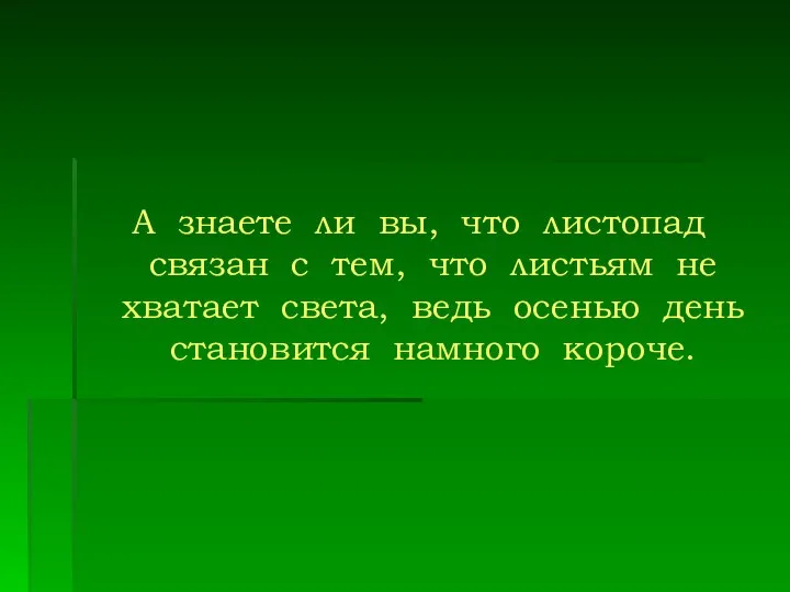 А знаете ли вы, что листопад связан с тем, что листьям