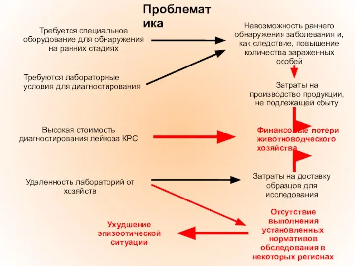 Проблематика Высокая стоимость диагностирования лейкоза КРС Требуется специальное оборудование для обнаружения