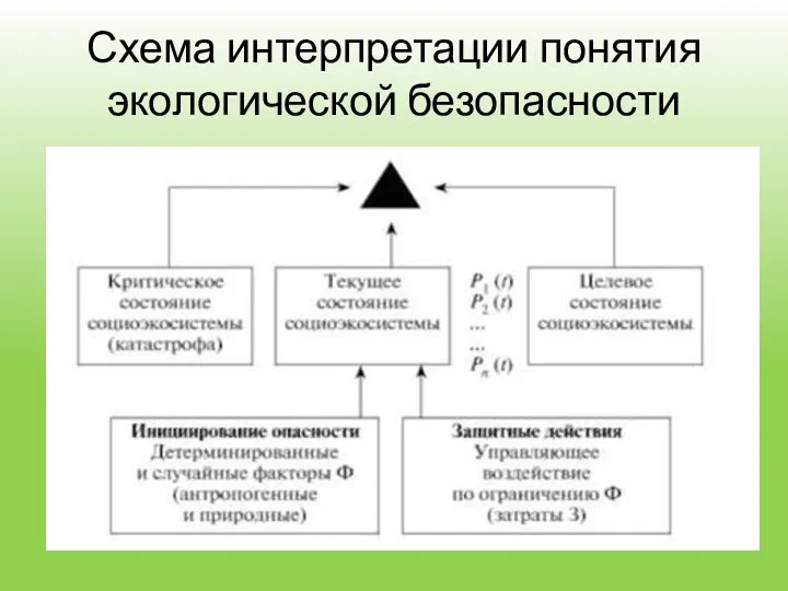 Схема интерпретации понятия экологической безопасности