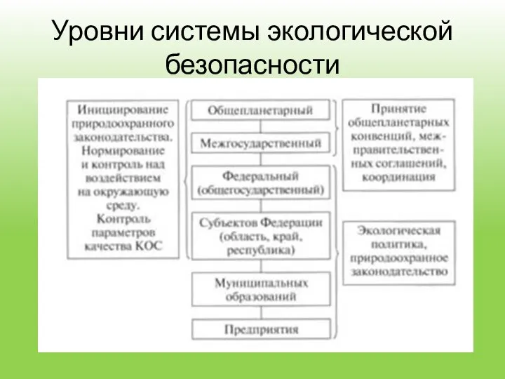 Уровни системы экологической безопасности