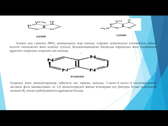 аденин гуанин Аденин мен гуанинге НNО2 қышқылымен әсер еткенде, олардың дезаминделуі