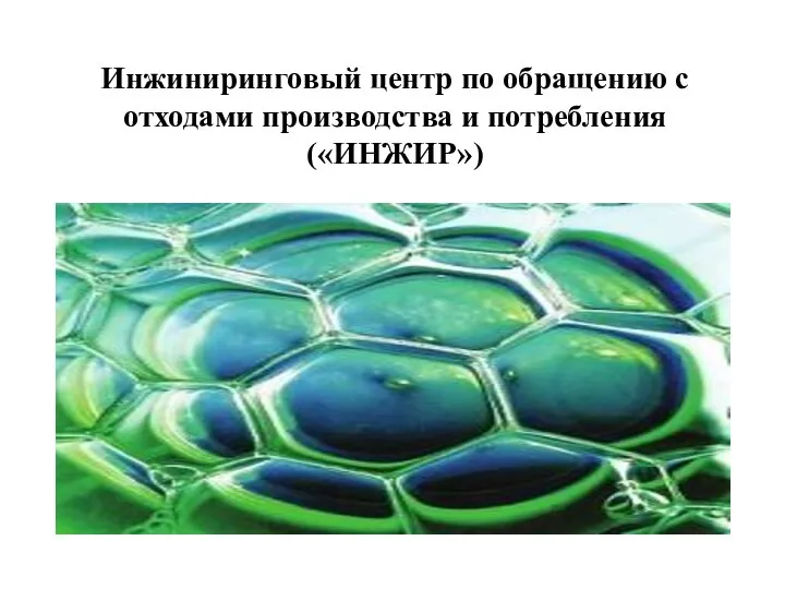 Инжиниринговый центр по обращению с отходами производства и потребления («ИНЖИР»)