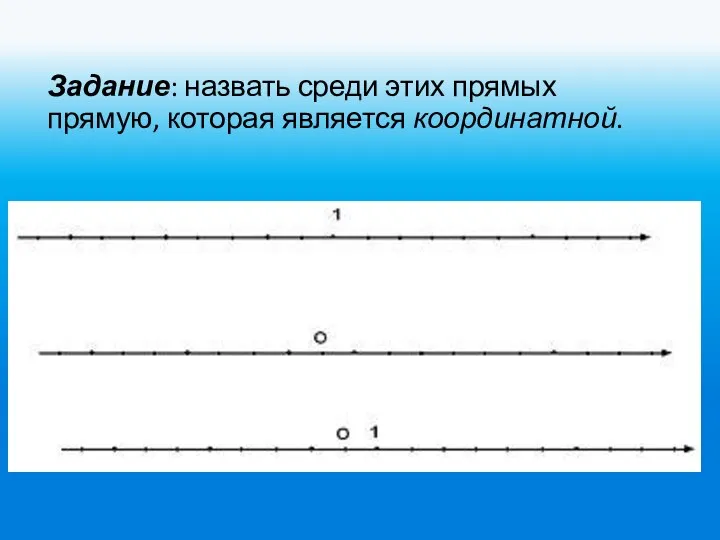 Задание: назвать среди этих прямых прямую, которая является координатной.