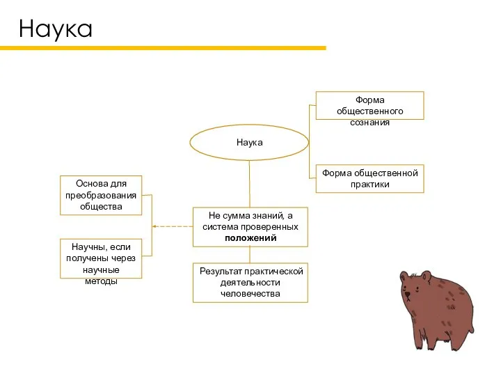 Наука Не сумма знаний, а система проверенных положений Результат практической деятельности человечества Наука