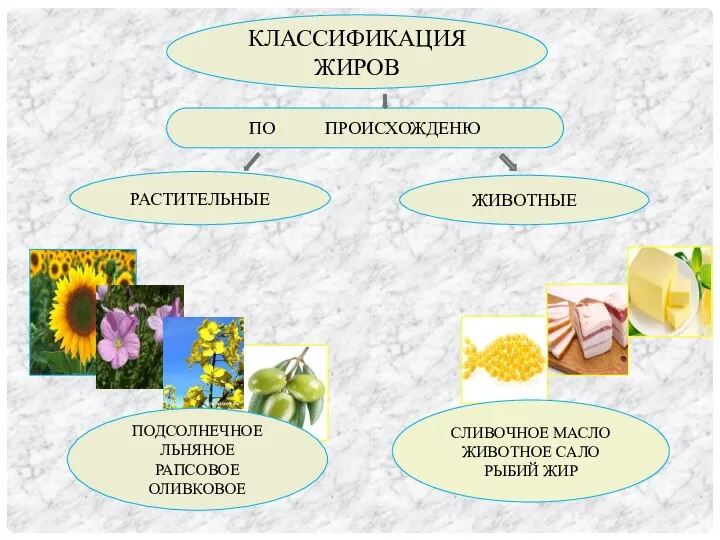 КЛАССИФИКАЦИЯ ЖИРОВ ПО ПРОИСХОЖДЕНЮ РАСТИТЕЛЬНЫЕ ЖИВОТНЫЕ ПОДСОЛНЕЧНОЕ ЛЬНЯНОЕ РАПСОВОЕ ОЛИВКОВОЕ СЛИВОЧНОЕ МАСЛО ЖИВОТНОЕ САЛО РЫБИЙ ЖИР