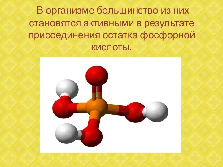 В организме большинство из них становятся активными в результате присоединения остатка фосфорной кислоты.