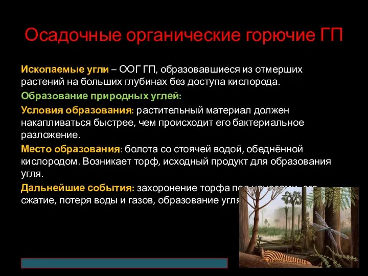 Осадочные органические горючие ГП Ископаемые угли – ООГ ГП, образовавшиеся из