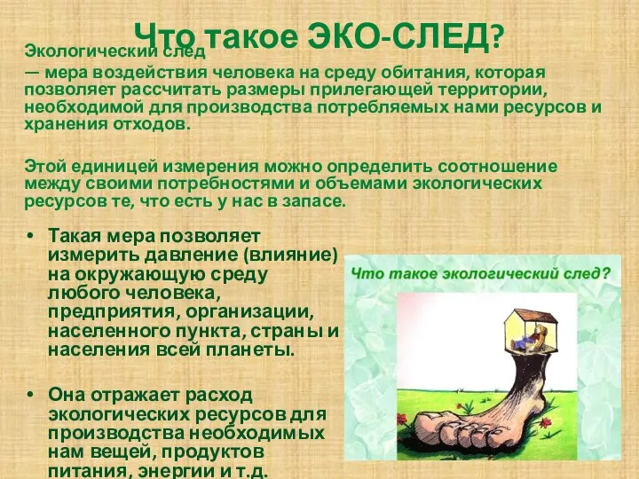 Что такое ЭКО-СЛЕД? Экологический след — мера воздействия человека на среду