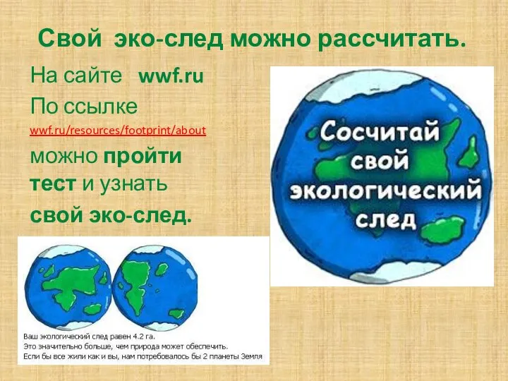 Свой эко-след можно рассчитать. На сайте wwf.ru По ссылке wwf.ru/resources/footprint/about можно