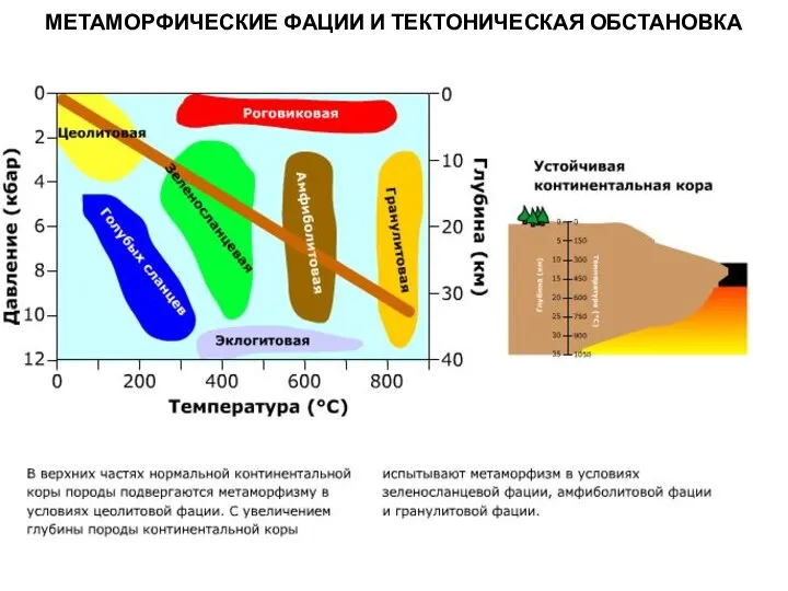 МЕТАОРФИЧЕСКИЕ ПОРОДЫ МЕТАМОРФИЧЕСКИЕ ФАЦИИ И ТЕКТОНИЧЕСКАЯ ОБСТАНОВКА