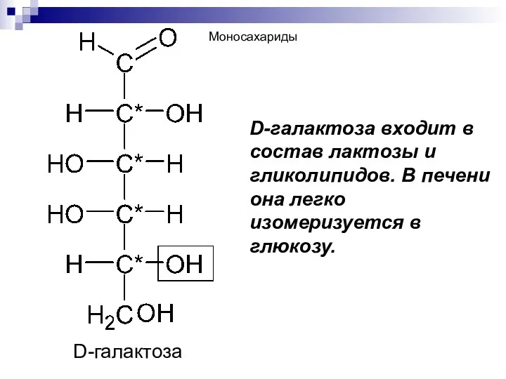 D-галактоза Моносахариды D-галактоза входит в состав лактозы и гликолипидов. В печени она легко изомеризуется в глюкозу.