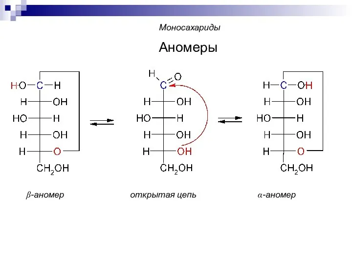β-аномер открытая цепь α-аномер Аномеры Моносахариды