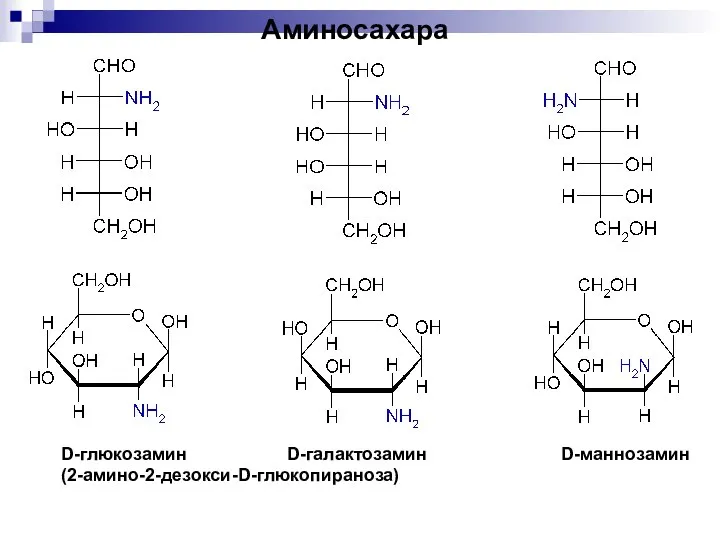 Аминосахара D-глюкозамин D-галактозамин D-маннозамин (2-амино-2-дезокси-D-глюкопираноза)