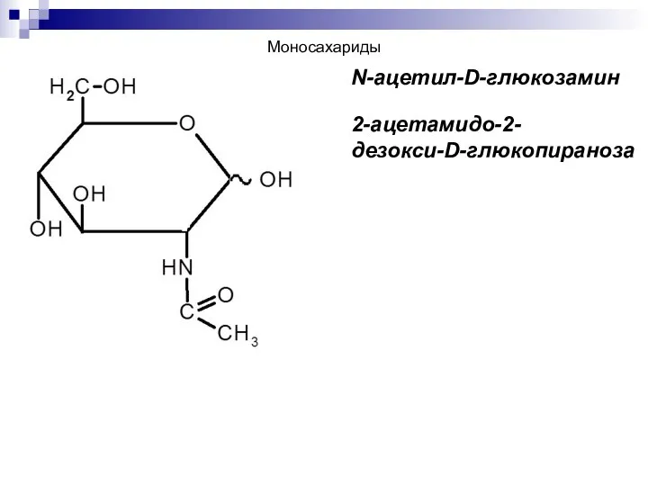 N-ацетил-D-глюкозамин 2-ацетамидо-2-дезокси-D-глюкопираноза Моносахариды