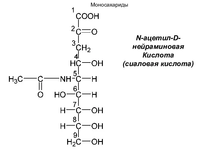 N-ацетил-D-нейраминовая Кислота (сиаловая кислота) Моносахариды