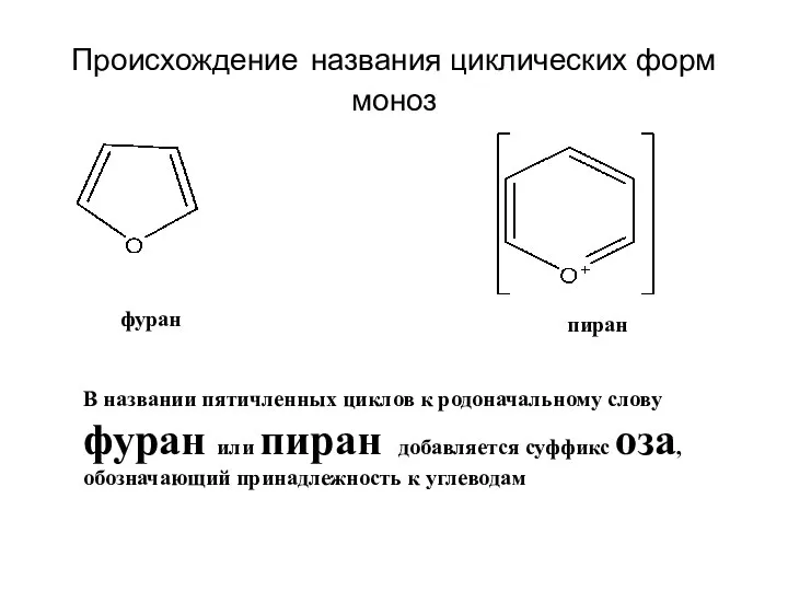 Происхождение названия циклических форм моноз фуран пиран В названии пятичленных циклов