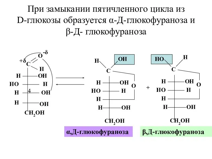 При замыкании пятичленного цикла из D-глюкозы образуется α-Д-глюкофураноза и β-Д- глюкофураноза + α,Д-глюкофураноза β,Д-глюкофураноза