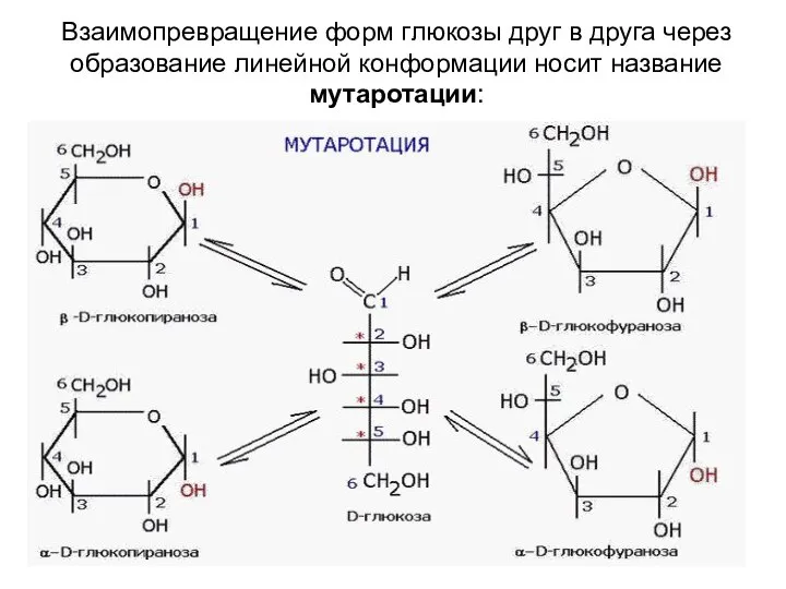 Взаимопревращение форм глюкозы друг в друга через образование линейной конформации носит название мутаротации: