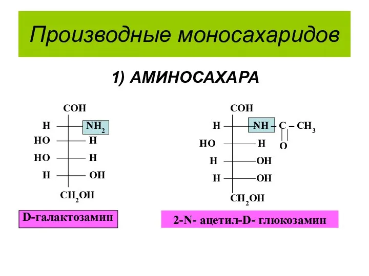 Производные моносахаридов 1) АМИНОСАХАРА 2-N- ацетил-D- глюкозамин D-галактозамин