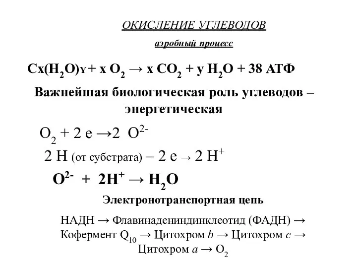 ОКИСЛЕНИЕ УГЛЕВОДОВ аэробный процесс Сх(Н2О)Y + х О2 → х СО2