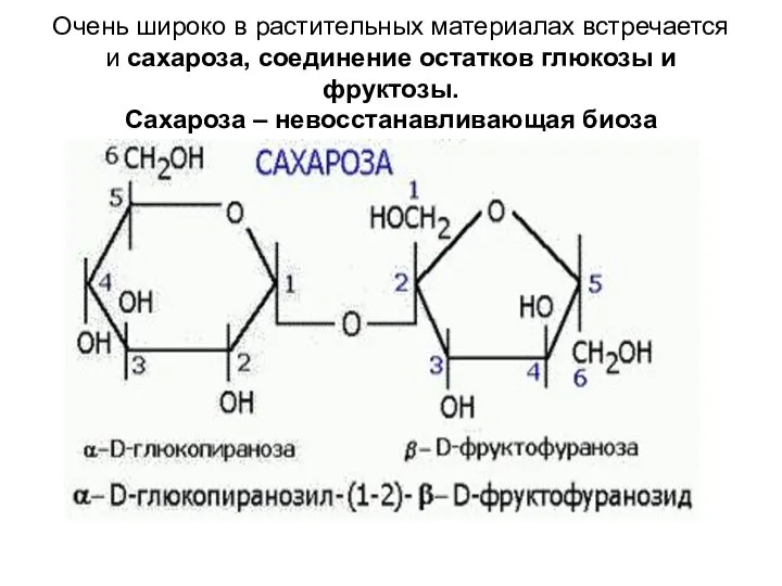 Очень широко в растительных материалах встречается и сахароза, соединение остатков глюкозы