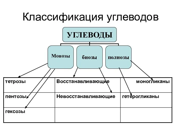 Классификация углеводов