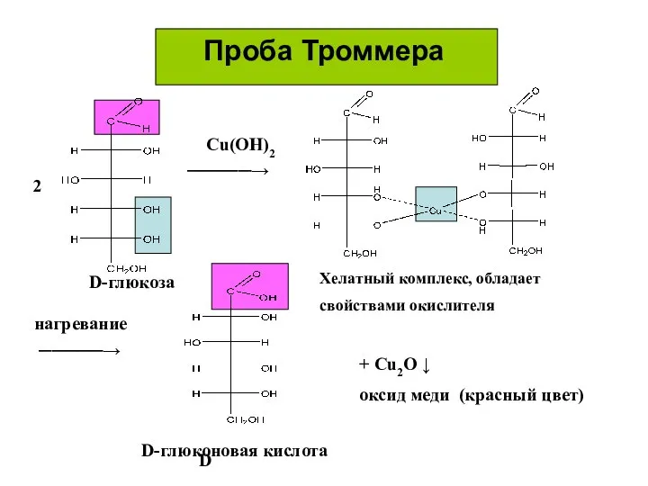 Проба Троммера ─────→ ─────→ Сu(OH)2 нагревание D-глюкоза Хелатный комплекс, обладает свойствами