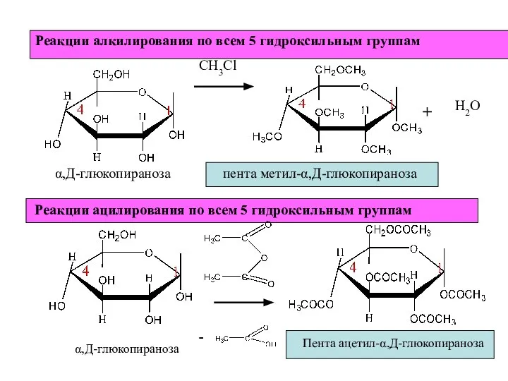 Реакции алкилирования по всем 5 гидроксильным группам СН3Cl + Н2О Реакции