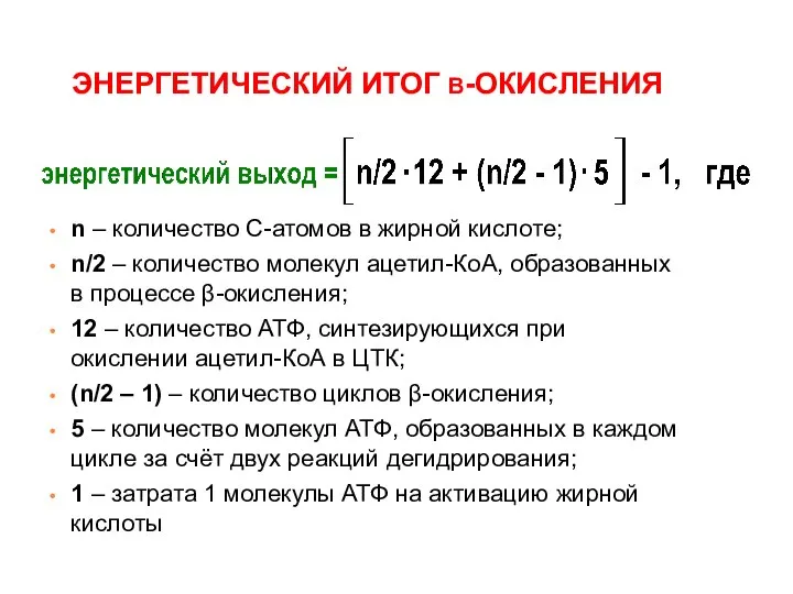 ЭНЕРГЕТИЧЕСКИЙ ИТОГ β-ОКИСЛЕНИЯ n – количество С-атомов в жирной кислоте; n/2