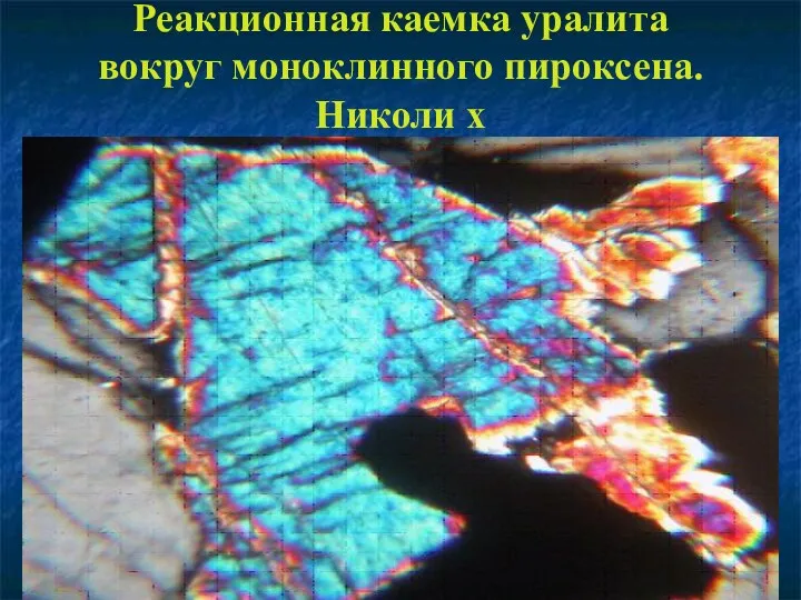 Реакционная каемка уралита вокруг моноклинного пироксена. Николи х