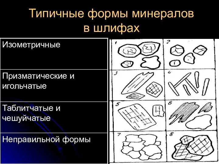 Типичные формы минералов в шлифах