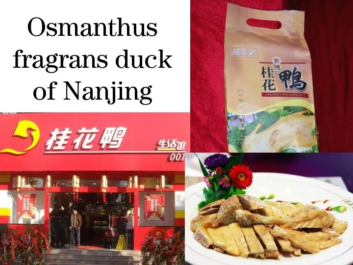 Osmanthus fragrans duck of Nanjing