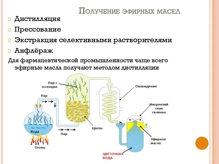 Получение эфирных масел Дистилляция Прессование Экстракция селективными растворителями Анфлёраж Для фармацевтической