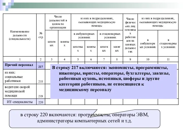 В строку 217 включаются: экономисты, программисты, инженеры, юристы, операторы, бухгалтеры, завхозы,