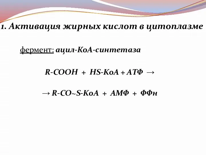 1. Активация жирных кислот в цитоплазме фермент: ацил-КоА-синтетаза R-COOH + HS-KoA