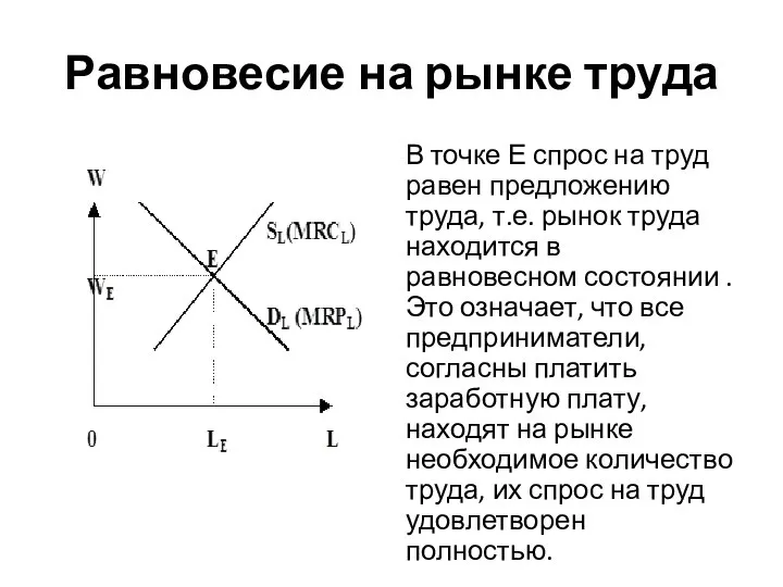 Равновесие на рынке труда В точке Е спрос на труд равен